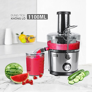 Máy ép trái cây rau củ LEBENLANG công suất cực mạnh 800W, dung tích lớn 1100ml, model LBEJ3468 - hàng chính hãng