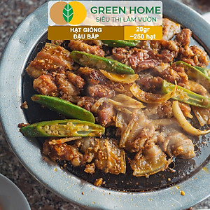 Hạt Giống Đậu Bắp Greenhome, Gói 10gr, Dễ Trồng Quanh Năm, Nảy Mầm Cao, Thu Hoạch Nhanh, Năng Suất Cao T06