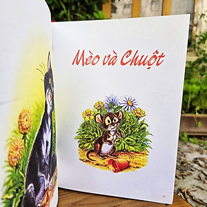 Sách Những Câu Chuyện Hay Nhất Về Mèo