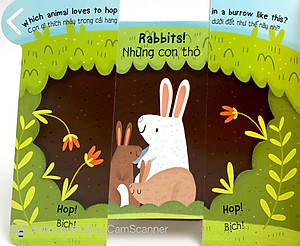 Sách Animals - Các Loài Động Vật