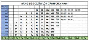 Combo 05 Quần Lót Nam Vải Thun Lạnh Cao Cấp KhoNCC Viền Lưng Bản To Nhiều Màu - NQL-QLNHR-5c - Hàng Chính Hãng