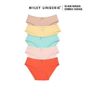 Combo 5 quần lót nữ basic Comfort Modal MILEY LINGERIE - Màu sắc ngẫu nhiên