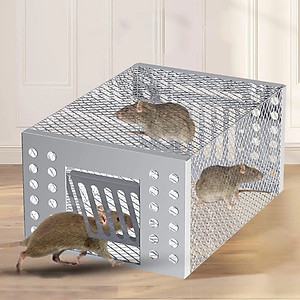 Lồng Bẫy Chuột Bắt Chuột Nhỏ Chuột To Siêu Nhạy Bẫy Chuột Thông Minh