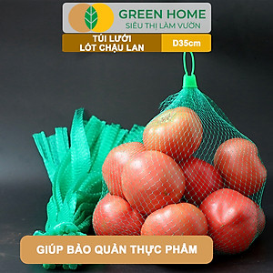 Bộ 10 Lưới Lót Chậu Lan GreenHome, D35cm, Lót Đáy Chậu, Ngăn Rơi Vãi Giá Thể, Phân Bón, Độ Bền Cao, Dễ Sử Dụng