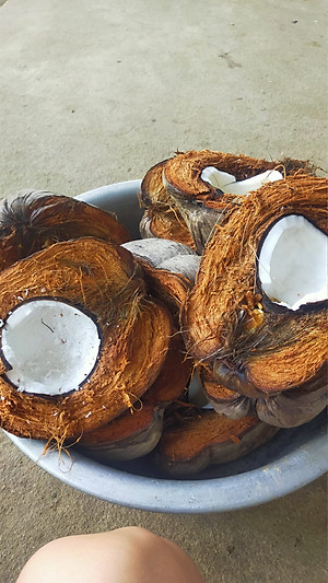 Tinh Dầu Dừa Nấu Thủ Công nguyên chất dưỡng da, dưỡng tóc, dưỡng môi handmade