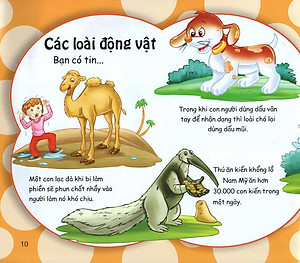 Sách Những Điều Kỳ Thú - Kiến Thức Thú Vị