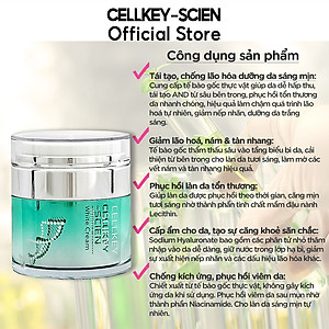 Combo 2 Kem Dưỡng Trắng Da Tế Bào Gốc Hàn Quốc Cấp Ẩm Xóa Nhăn Phục Hồi Trẻ Hoá Da Và Chống Lão Hoá Cellkey-Scien White Cream (60g)