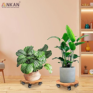 Đế Kê Chậu Cây Có Bánh Xe ANKAN, R30cm Làm Giá Đỡ Kệ Hoa Cây Cảnh, Màu Vàng Nắng, Chịu Tải 150Kg