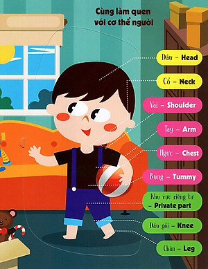 Sách Tương Tác - Lift-The-Flap-Lật Mở Khám Phá - The Human Body - Cơ Thể Người