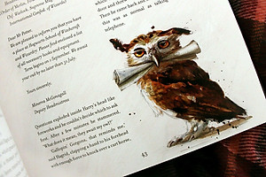 Harry Potter and the Philosopher's Stone - Deluxe Edition