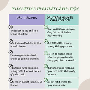 Tinh dầu tràm Con Dơi ( Nguyên chất 100%)