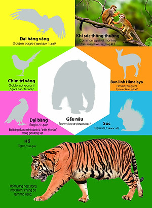 Sách Dán hình nhận biết động vật - Động vật hoang dã