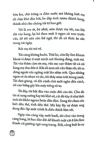 Sách Dế Mèn Phiêu Lưu Ký – Ngô Xuân Khôi Minh Họa - Ấn Bản Kỉ Niệm 100 Năm Tô Hoài