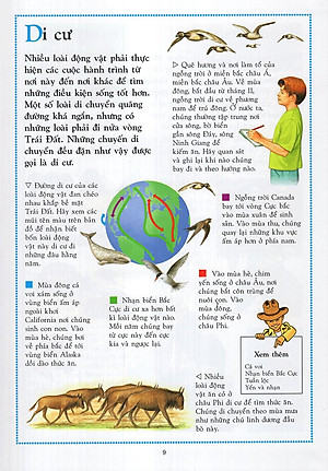 Sách Bách Khoa Động Vật Cho Trẻ Em