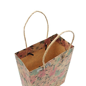 Túi Quà Vintage 21 x 16 cm - The Sun (Mẫu Màu Giao Ngẫu Nhiên)