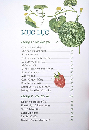 Nhìn Thì Giống Hóa Ra Lại Khác