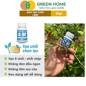 Keo Tạo Chồi LS80, Greenhome, Hũ 30gr, Tạo Mầm Tại Vị Trí Bất Kỳ, Có Chọn Lọc, Không Suy Cây, Đen Chồi
