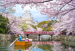 Bộ tranh xếp hình jigsaw puzzle cao cấp 330 mảnh – Lâu Đài Himeji