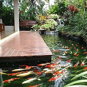 Đèn UV 9W Bóng Kép cao cấp, diệt tảo, diệt  khuẩn cho bể cá, hồ cá, hồ thủy sinh siêu sạch UV FORT DI (  Trắng)