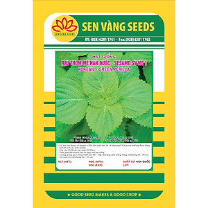 Hạt giống rau thơm mè Hàn Quốc - SESAME - Tía tô Hàn Quốc VTS91