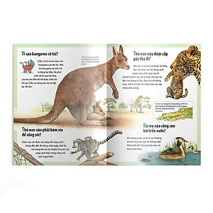 Sách Em muốn biết vì sao kangaroo có túi và những câu hỏi khác về con non