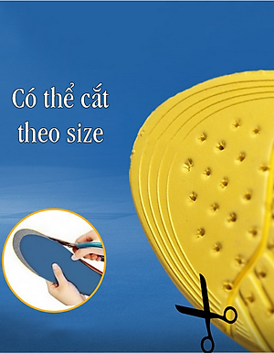 Miếng lót giày thể thao thoáng khí V.3 - Size nam (41-45)