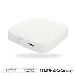 Bộ hub trung tâm Wi-Fi Hub BT Mesh (SIG) cho nhà thông minh  Gateway Tương thích với Alexa Trợ lý Google Đa thiết bị