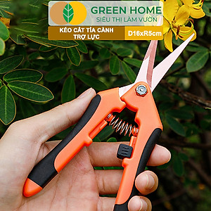 Kéo Cắt Cành GreenHome, D16,5xR4,5cm, Inox, Mũi Nhọn, Siêu Bén, Không Gỉ, Có Khoá An Toàn, Nhiều Màu Lựa Chọn