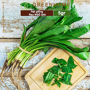 Hạt Giống Ngò Gai Greenhome, Gói 5gr~5000 hạt, Mùi Tàu, Dễ Trồng Quanh Năm, Nảy Mầm Cao, Thu Hoạch Nhanh, Năng Suất Cao G08