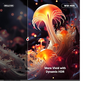 Cáp tín hiệu HDMI 2.1 dài 3M Ugreen 25911 8K@60Hz- Hàng chính hãng