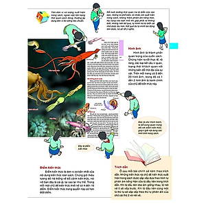 Sách Bách Khoa Tri Thức Bằng Hình Cho Trẻ Em