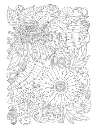 Tô Màu Người Lớn - MAI LAN CÚC TRÚC