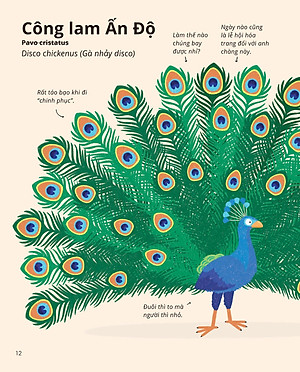 100++ Bí Ẩn Về Tự Nhiên - Những Động Vật Kỳ Diệu Nực Cười Nhất