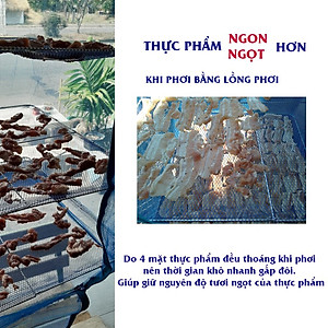 Lồng Phơi Thực Phẩm, Phơi Cá Khô Chống Ruồi Muỗi, Côn Trùng Bằng Lưới PE Dễ Dàng Vệ Sinh,Thu Gọn - HÀNG CHÍNH HÃNG MINIIN