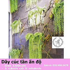 Dây Cúc Tần Ấn Độ Giả Dài 100cm một cụm 5 nhánh Trang Trí Decor Siêu Đẹp