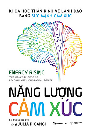 Sách Năng Lượng Cảm Xúc - Khoa học thần kinh về lãnh đạo bằng sức mạnh cảm xúc