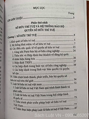 Quyền sở hữu trí tuệ, bảo vệ và chuyển giao (Sách chuyên khảo)