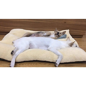 Nệm ngủ cho chó to (có khoá kéo) tặng gối nằm size 45kg