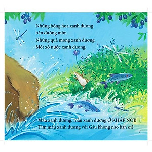 Sách Cùng gấu khám phá -The Bear Books - Gấu nhận biết màu sắc - Bear see colors