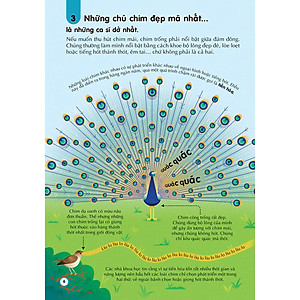 Sách 100 bí ẩn đáng kinh ngạc về âm nhạc - 100 things to know about music