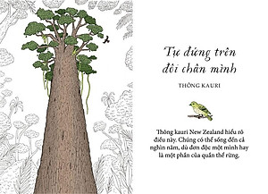 Sống Như Những Cái Cây - Những Bài Học Nhỏ Để Có Nguồn Hạnh Phúc Bất Tận (Tái Bản 2021)