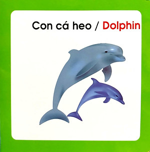 Từ Điển Hình Ảnh Cho Bé - Động Vật Biển