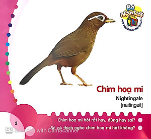 Sách Bé Nhận Biết Môi Trường Xung Quanh (0 - 3 Tuổi) - Chim (Birds)