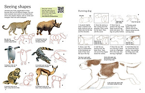 Sách tô vẽ tiếng Anh: Usborne Art Ideas Drawing Animals