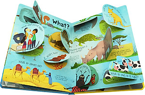 Sách tương tác tiếng Anh - Usborne Lift-the-flap Questions and Answers about Animals
