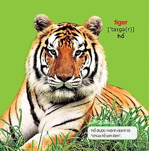 Sách Bé Yêu Đi Mẫu Giáo - Thế Giới Động Vật