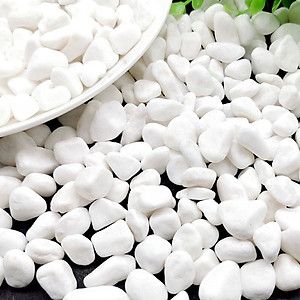 500g Sỏi trắng dải trang trí chậu cây, bể cá - Cây giả, hoa lụa Decor trang trí nhà cửa
