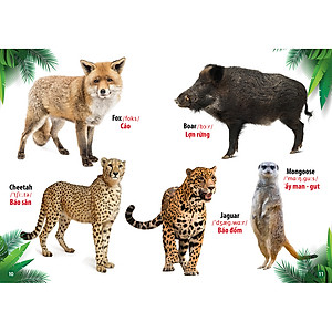 Trọn Bộ Từ Điển -Thư Viện Hình Ảnh Song Ngữ Đầu Tiên Của Bé ( bộ 8 cuốn)