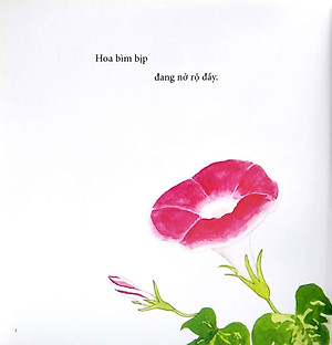 Ehon - Mọt Sách Mogu - Tìm Thấy Mùa Hè Rồi!