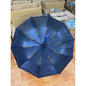 Ô Dù Gấp Gọn 10 Nan Kép - Chắc Chắn, Chống Lật, Tay Cầm Thông Minh, Chống Tia UV 99% - HÀNG CHÍNH HÃNG MINIIN
